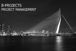 B-Projects project management